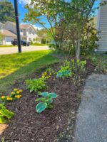 CONDO END UNIT BRUNSWICK 2BR/1.5BA